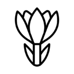الزعفران